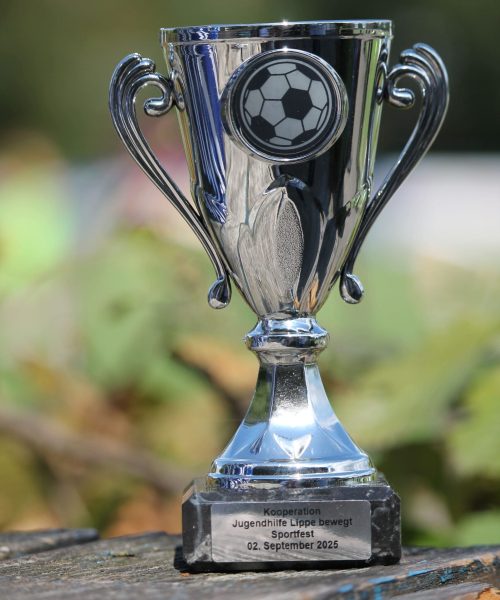 Fußball Pokal der Jugendhilfe Lippe